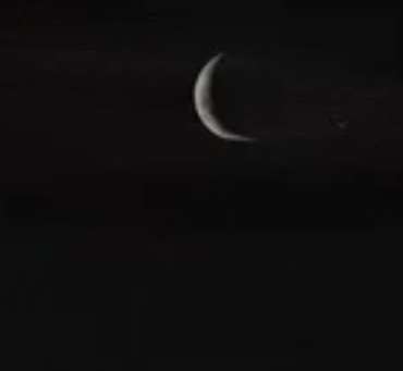 продажа аккаунта к игре Age of apes